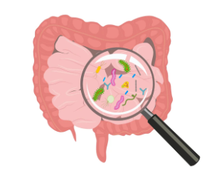 Gastroenteritis